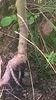 WP_20140824_013