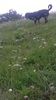 WP_20140824_014