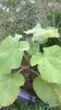 WP_20140824_015