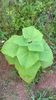 WP_20140824_018