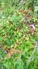 WP_20140824_020