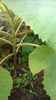 WP_20140824_022