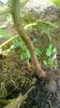 WP_20140824_026