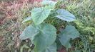 WP_20140824_027