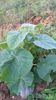 WP_20140824_028