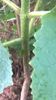 WP_20140824_029
