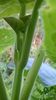 WP_20140824_031