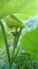 WP_20140824_032