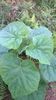 WP_20140824_033
