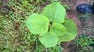 WP_20140824_034