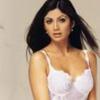 Shilpa_Shetty_1253419018_0