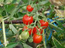 DSC01775
