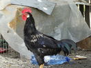 DSC01805