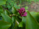 DSCN7983