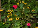 DSCN7998