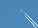 DSCN8004