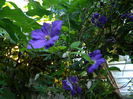 DSCN8006