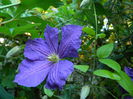 DSCN8007