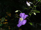 DSCN8009
