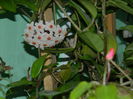 DSCN8018