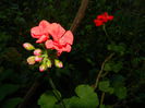 DSCN8028