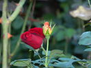 DSCN8030