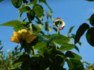 DSCN8035