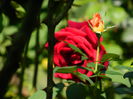 DSCN8044