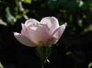 DSCN8047