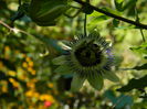 DSCN8051