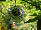 DSCN8054