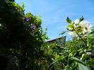 DSCN8059