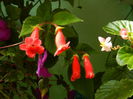 DSCN8060