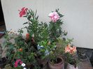 20140902_183015