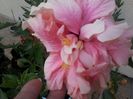 20140902_182956