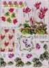 115515-d6dcf-41678241-m750x740-u1bbe6