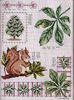 115515-da81c-41675315-m750x740-u65564
