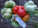 REISETOMATE-2327