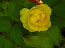 DSCN8065