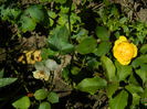 DSCN8066