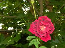 DSCN8073