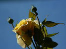 DSCN8079