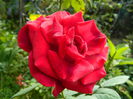 DSCN8086