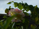 DSCN8087