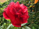 DSCN8092