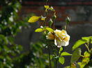 DSCN8108