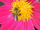 DSCN8131