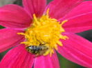 DSCN8132