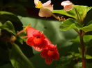 DSCN8162