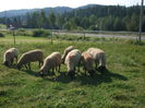 DSCF0700[1]
